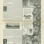 The Youth's Companion - December 3rd, 1914 - New England Edition